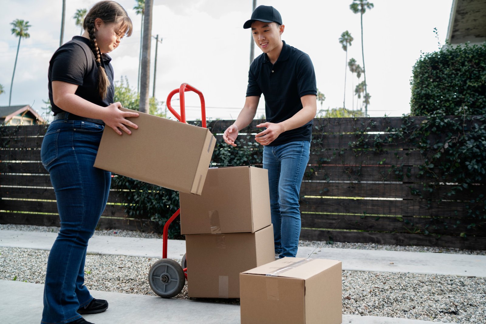 Project & Domestic Distribution